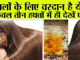 Best Hair Oil: बालों के लिए वरदान है ये तेल, केवल तीन हफ्तों में ही देखें फर्क… Best Hair Oil