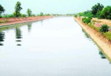 Bhakra Canal: भाखड़ा प्रणाली की नहरों का रेगुलेशन निर्धारित Hanumangarh