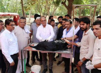 Bhiwani News