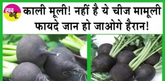 BLACK RADISH