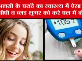 Blood Sugar: इस बीज का ऐसा नाश्ता, ब्लड शुगर को दिखा दे बाहर का रास्ता Blood Sugar