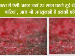 Bloody Rain