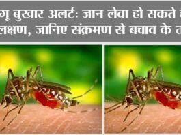 Dengue Fever: क्या है डेंगू के लक्षण, किस टेस्ट से लगता है इस जानलेवा बीमारी का पता Dengue Fever