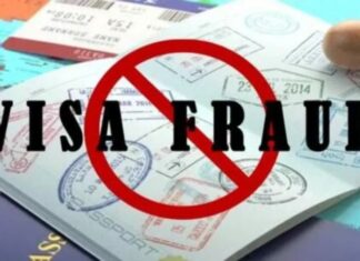 Fake Visa