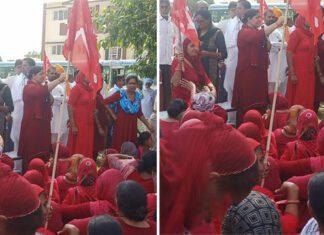 Asha Workers Protest