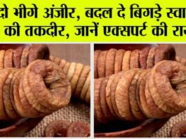 Fig Water Benefits: दो भीगे अंजीर, बदल दे बिगड़े स्वास्थ्य की तकदीर एक्सपर्ट की राय, फायदे जाए नहीं गिनाए Fig Water Benefits