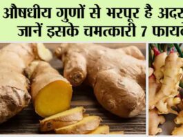 Ginger Benefits: औषधीय गुणों से भरपूर है Ginger, जानें इसके चमत्कारी 7 फायदे Ginger Benefits