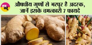 Ginger Benefits