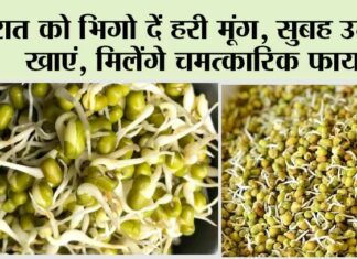 Green Moong Benefits