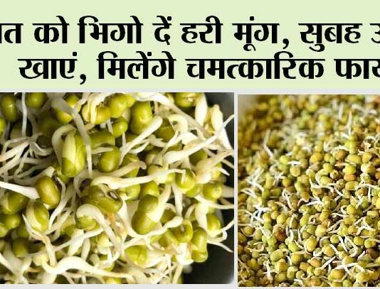 Green Moong Benefits: सुबह नाश्ते में हरे मूंग खाने के चमत्कारिक फायदे, हमेशा रहोगे स्वस्थ Green Moong Benefits