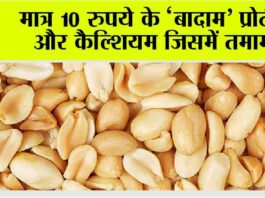 High Protein And Calcium Foods