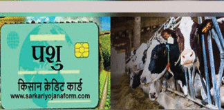 Kisan Credit Card