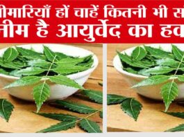 Neem Health Benefits: नीम है आयुर्वेद का हकीम, बीमारियाँ हों चाहें कितनी भी संगीन Neem Health Benefits