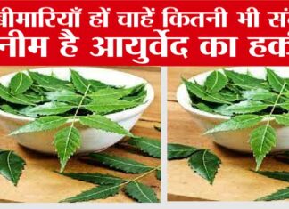 Neem Health Benefits