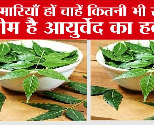 Neem Health Benefits: नीम है आयुर्वेद का हकीम, बीमारियाँ हों चाहें कितनी भी संगीन Neem Health Benefits