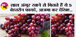 Red Grapes Benefits
