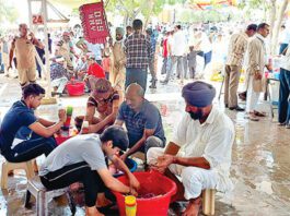 नशों में जिंदगी बर्बाद करने की बजाय सेवा कार्यों में लगे युवा Sirsa