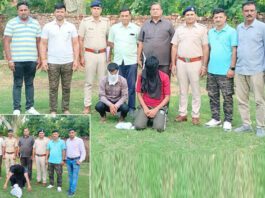 Sirsa News