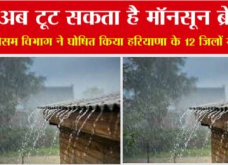 Weather News: अब टूट सकता है मॉनसून ब्रेक! 15 के बाद बूंदाबांदी के आसार Weather News