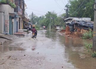 Weather Today Haryana