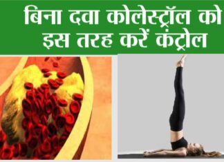 Yoga for cholesterol