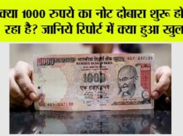 1000 Currency Notes: क्या 1000 रुपये का नोट दोबारा शुरू होने जा रहा है? जानिये रिपोर्ट में क्या हुआ खुलासा 1000 Currency Notes
