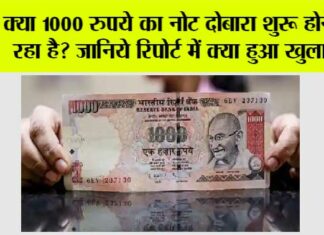 1000 Currency Notes