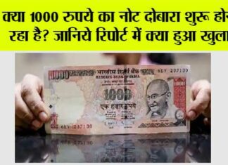 1000 Currency Notes: क्या 1000 रुपये का नोट दोबारा शुरू होने जा रहा है? जानिये रिपोर्ट में क्या हुआ खुलासा 1000 Currency Notes