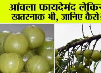 Amla Side Effects