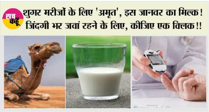 Camel Milk Benefits