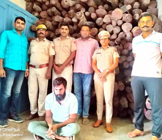10 करोड़ की चंदन की लकड़ी का एक तस्कर अरेस्ट Hanumangarh News