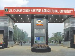 Haryana Day