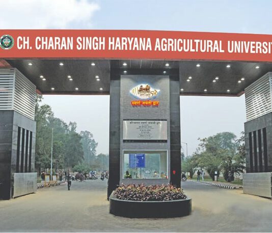 Haryana Day
