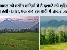 Dussehra 2023: हिमाचल की हसीन वादियों में है दशहरे की छुट्टियाँ मनाने का हसीं नजारा, एक बार इस घाटी में जाकर जरूर देखें! Dussehra 2023