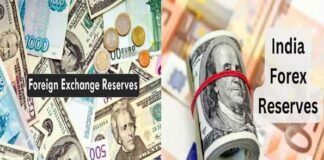 Foreign Exchange Reserves