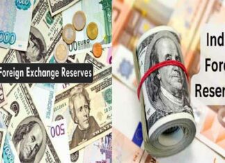 Foreign Exchange Reserves