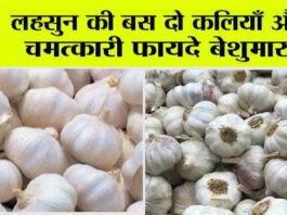 Garlic Benefits