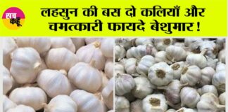 Garlic Benefits