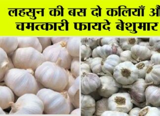 Garlic Benefits