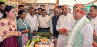 Haryana News