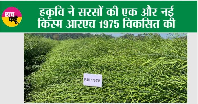 Haryana News