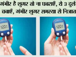 Herb For Diabetes