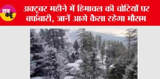 Himachal Snowfall