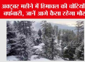 Himachal Snowfall