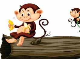 Greedy Monkey