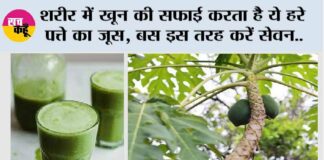 Papaya Leaf Juice Benefits