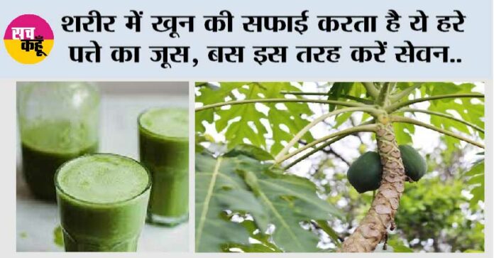 Papaya Leaf Juice Benefits