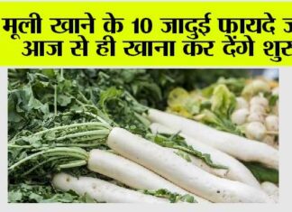 Radish Eating Benefits