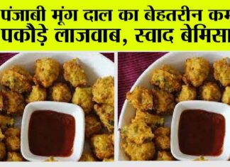 Special Moong Dal Pakoda