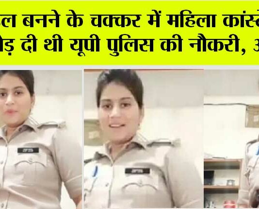 UP News